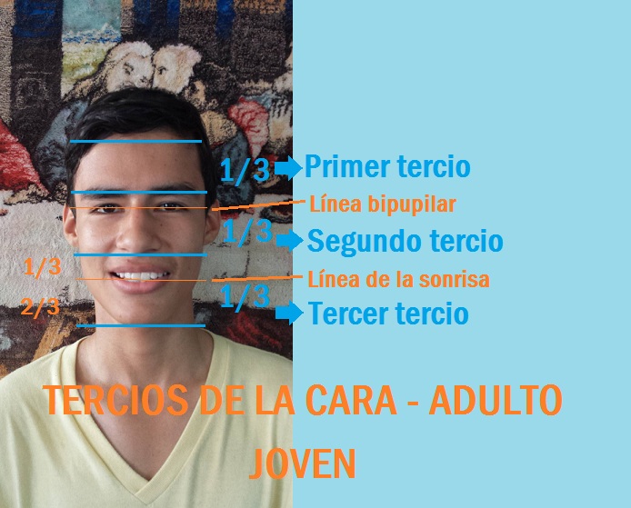 INTRODUCCIÓN A LA ODONTOLOGÍA Análisis Facial