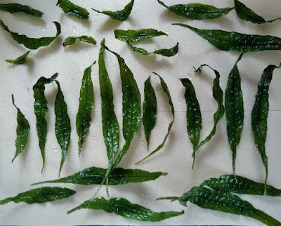 トリミングした葉