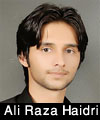 http://www.humaliwalayazadar.com/2013/12/ali-raza-haidri-audio-nohay-2007-to-2014.html
