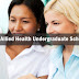 NAHSSS Allied Health Undergraduate Scholarships in Australia, 2017