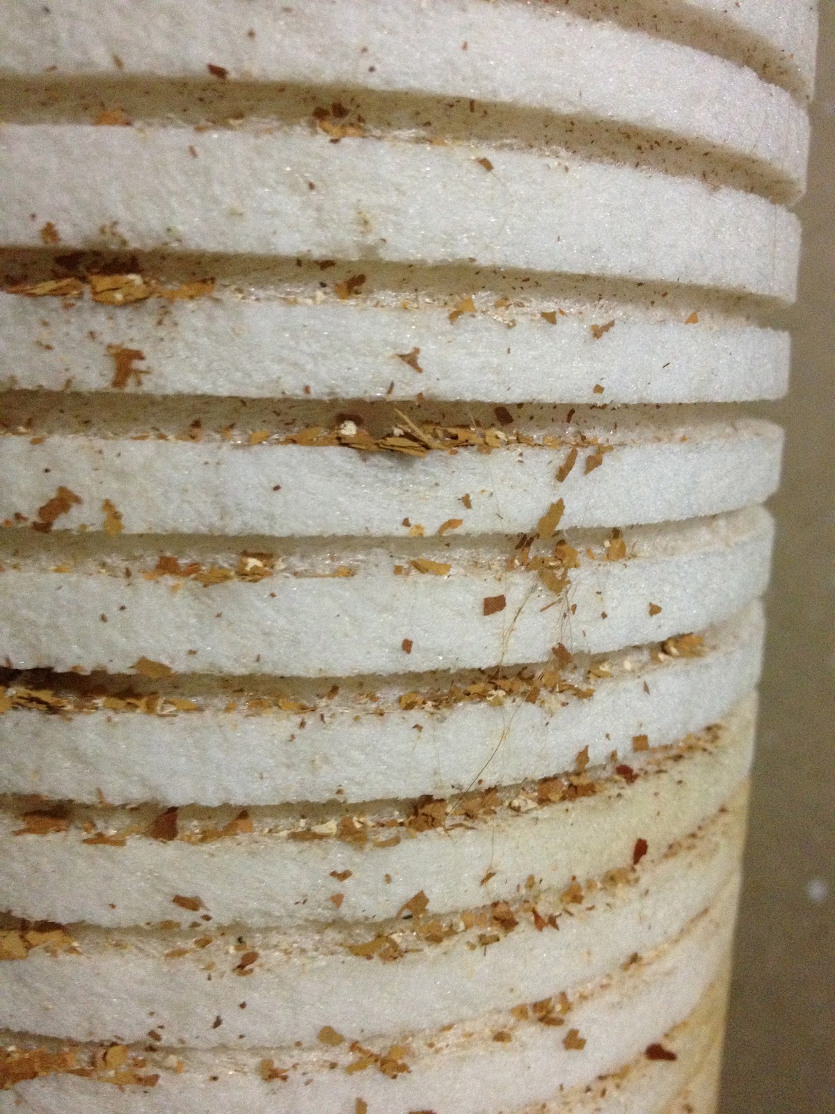 Love Everyday Update on my well water that turns everything orange