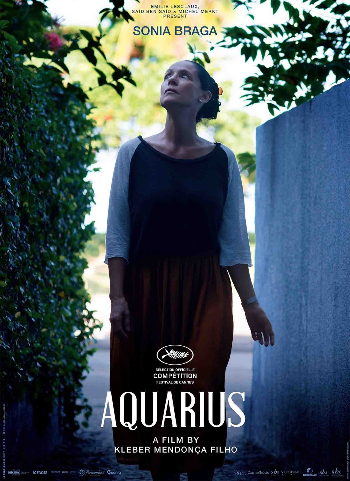 Aquarius Torrent – BluRay 720p e 1080p Nacional
