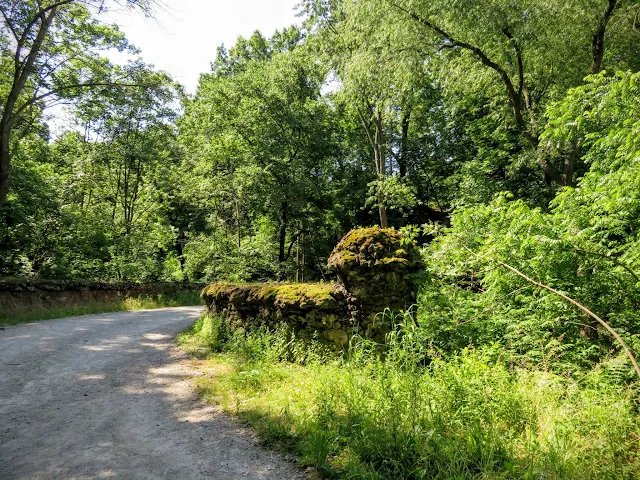 Hiking trail in Pittsburgh's Schenley Park