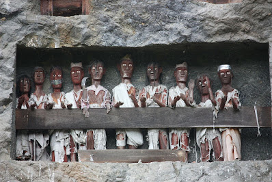 7 Facts about Baby Graves in Tana Toraja