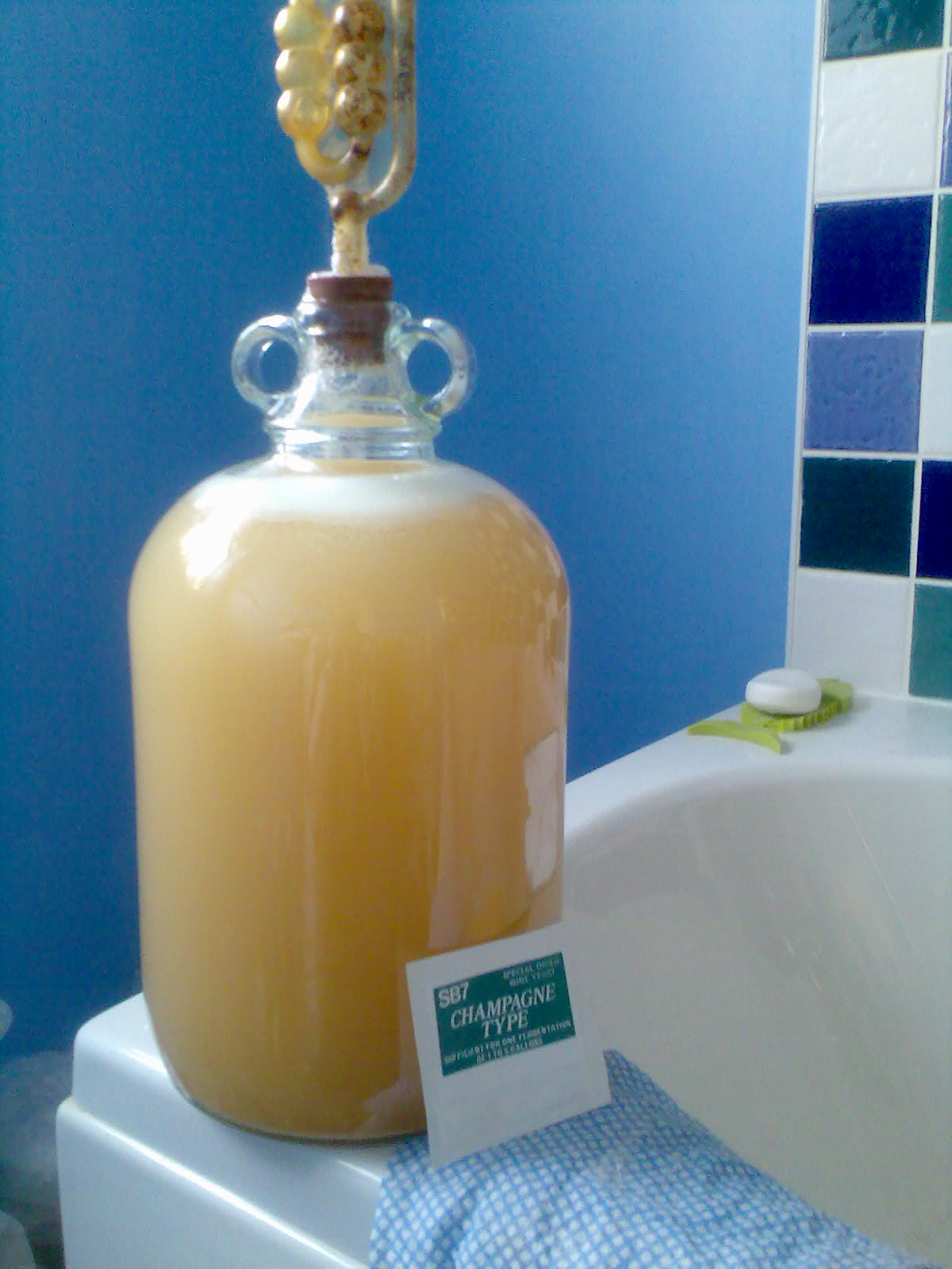 Ben's Adventures in Wine Making Pineapple Wine The Making Of