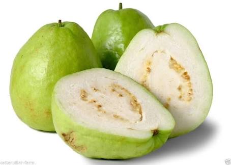 do guava levelek segítenek a fogyásban)