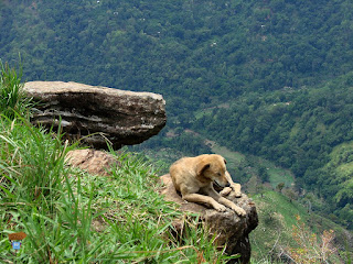Little Adams Peak Little Adams Peak