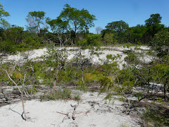 Reserva Natural Laguna Blanca