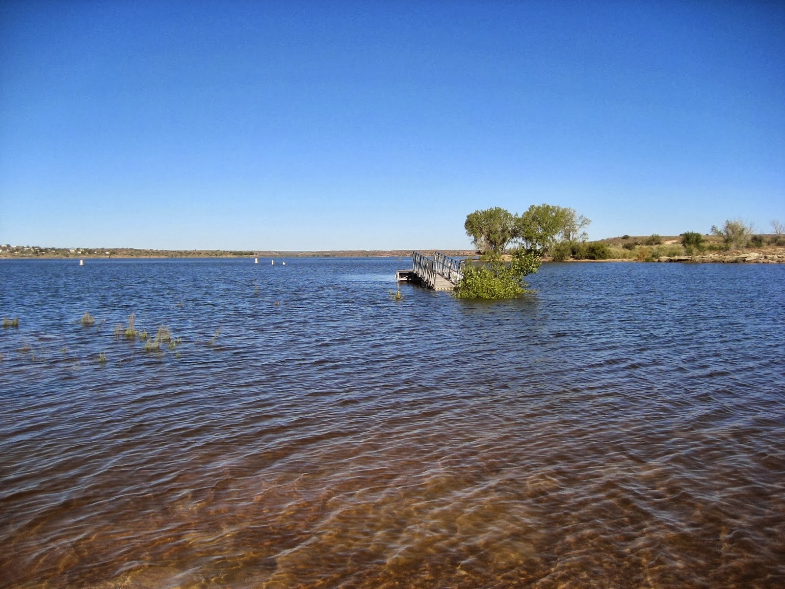 Living Rootless: Sumner Lake State Park, New Mexico: A Big Drink of Water