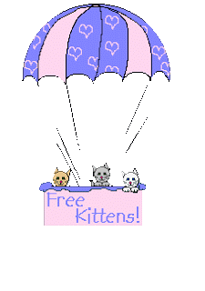 hello kitty hello kitty