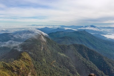 Rainforest for Life (Gunung Halau Halau, Pegunungan Meratus, Kalimantan