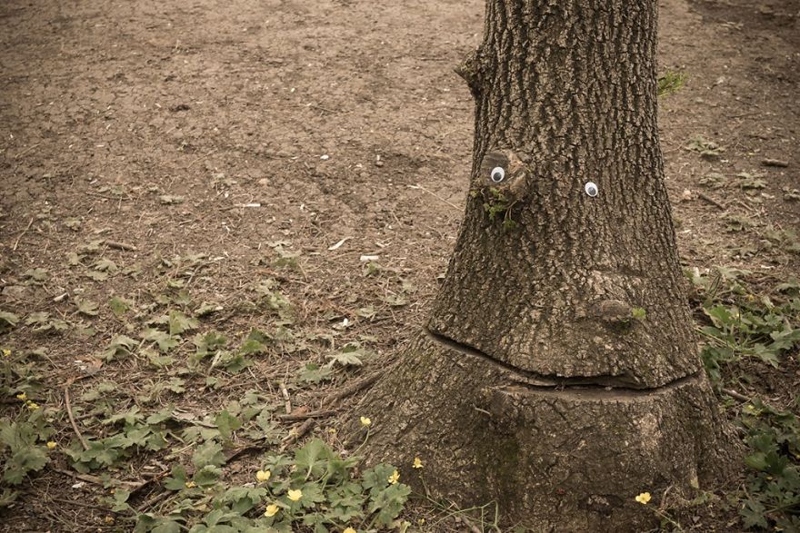 Guy Puts Googly Eyes On Broken Street Objects And The Result Is Hilarious Guy Puts Googly Eyes On Broken Street Objects And The Result Is Hilarious