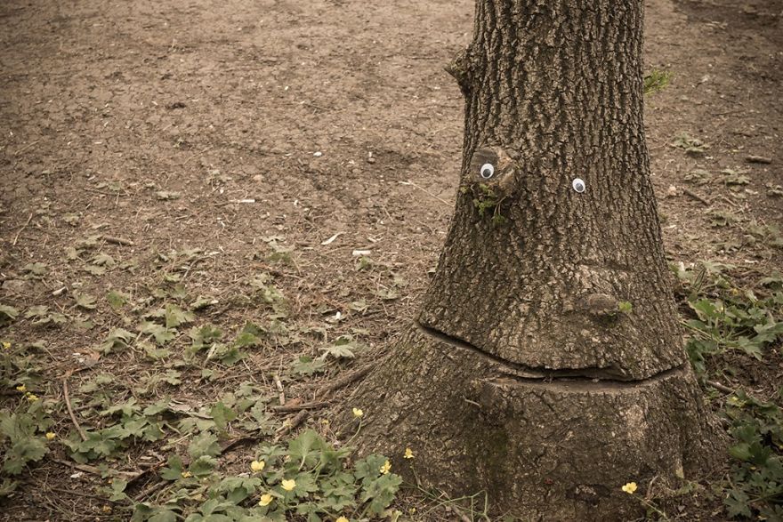 Guy Puts Googly Eyes On Broken Street Objects And The Result Is Hilarious