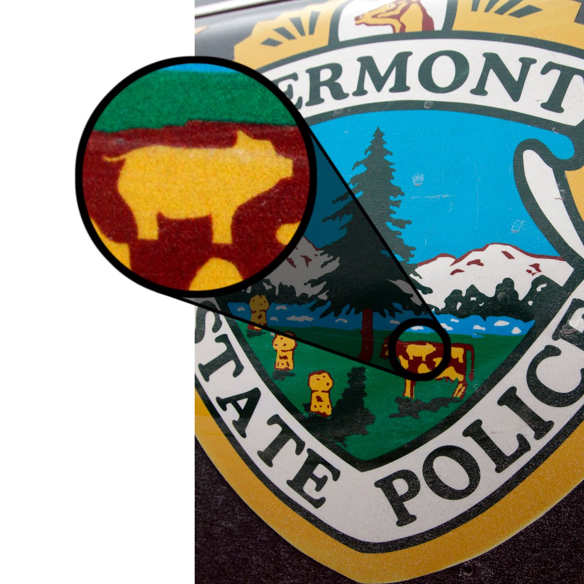 pig_header_cop.jpg