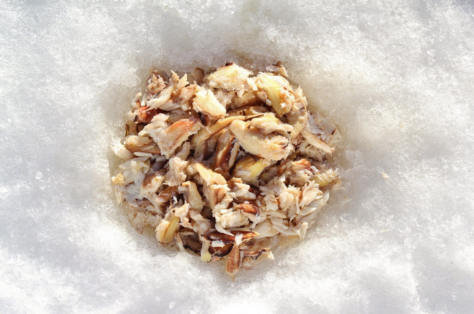 Where to Buy Crab Claw Meat Live Fresh Mud Crabs, Mud Crab Farming In