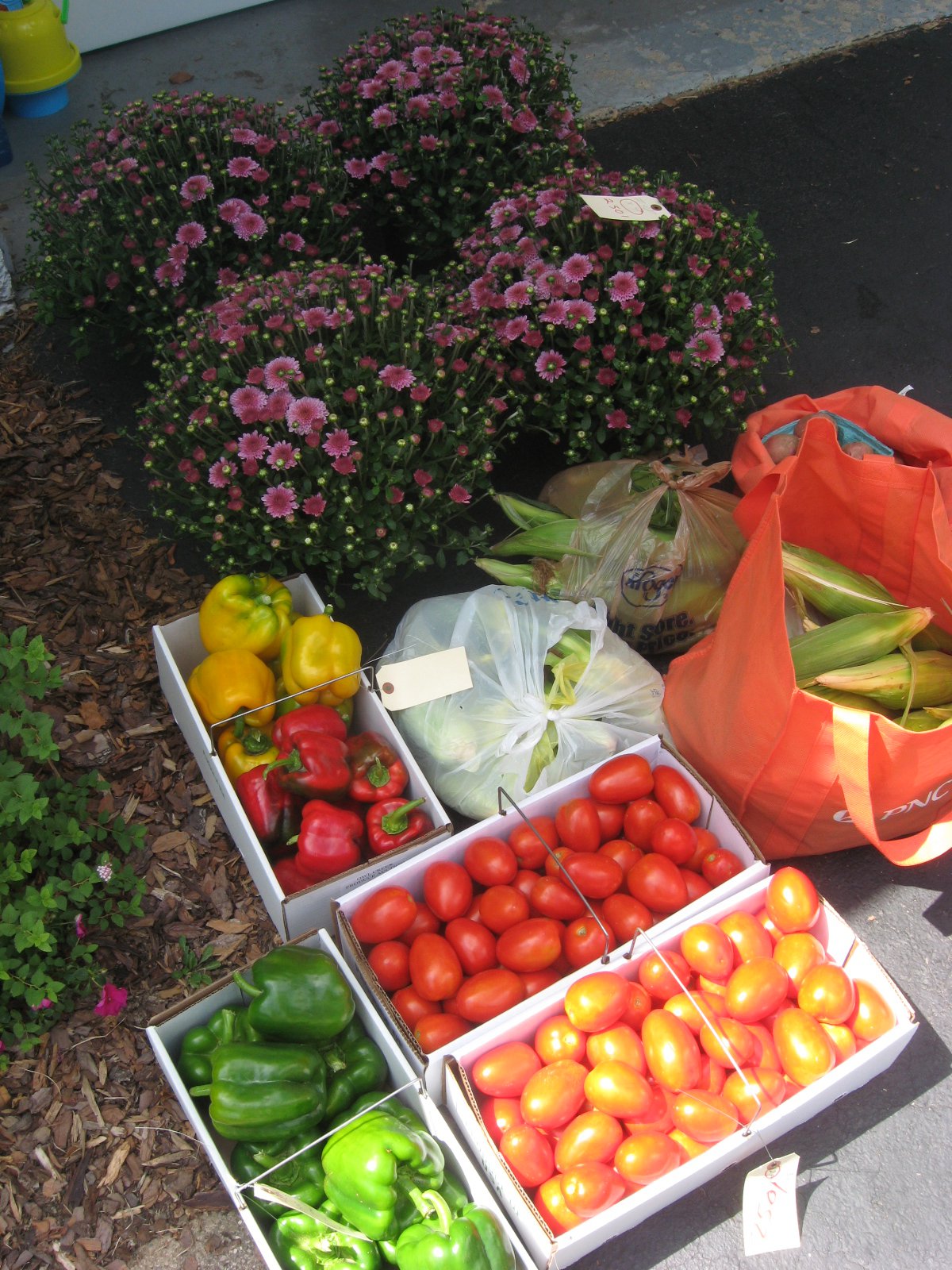 Sustainable Saturday Ohio Produce Auctions Saving Family Green