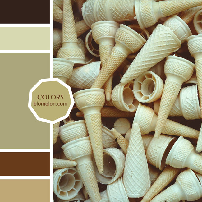 variedad en color 72 variedad_en_color_moodboard_72