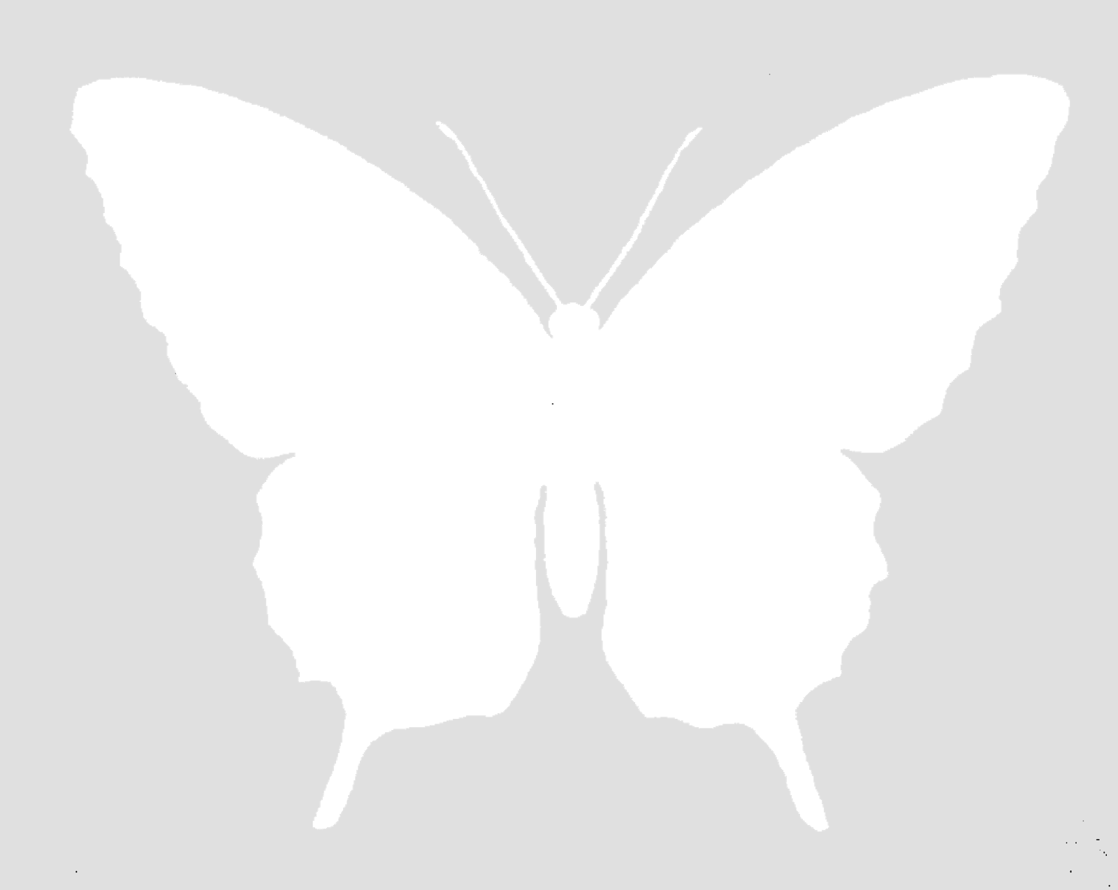 the-graphics-monarch-free-butterfly-silhouette-image-grayscale-digital