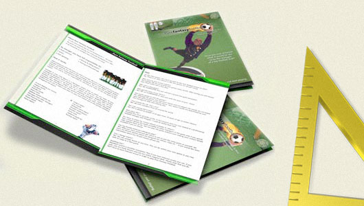 Bi-fold brochure Letter or A4 size