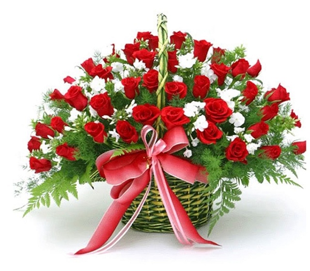 Bó hoa hồng đỏ đẹp nhất thế giới 11