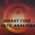Binary Code Static Analyser With IDA Integration