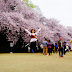 Shinjuku Gyoen National Park @ Japan