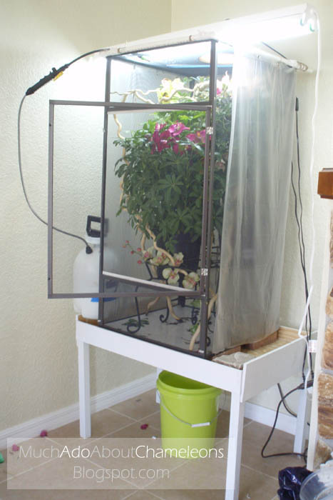 How To Make A Drainage Table Much Ado About Chameleons - Diy Chameleon Cage Drainage System