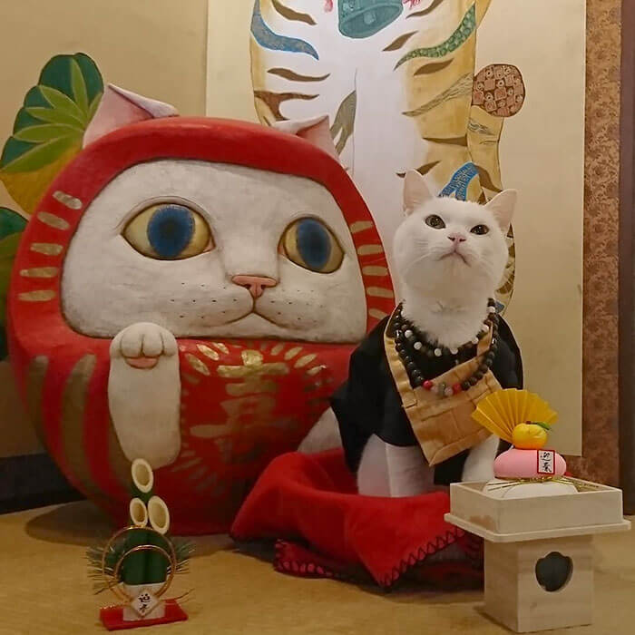 There Is A Japanese Cat Shrine, And Its Monks Are Adorable