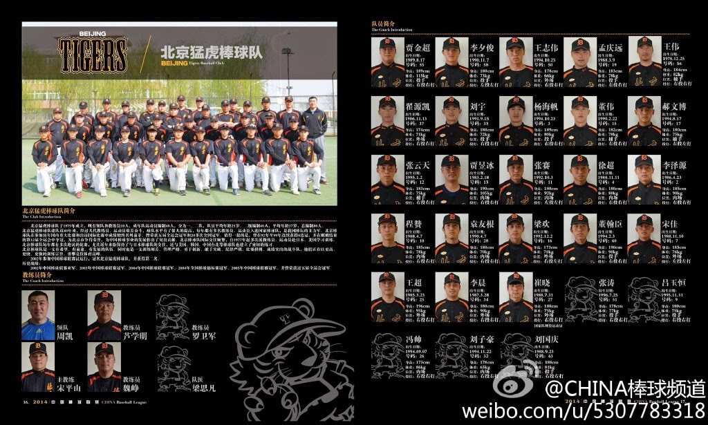 Chinese Baseball: China Baseball League Starts in 2 Weeks!