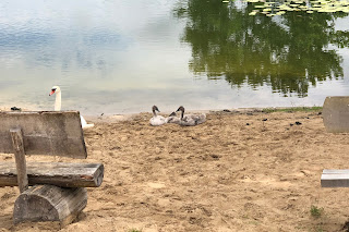 Post vom 02.07.2020