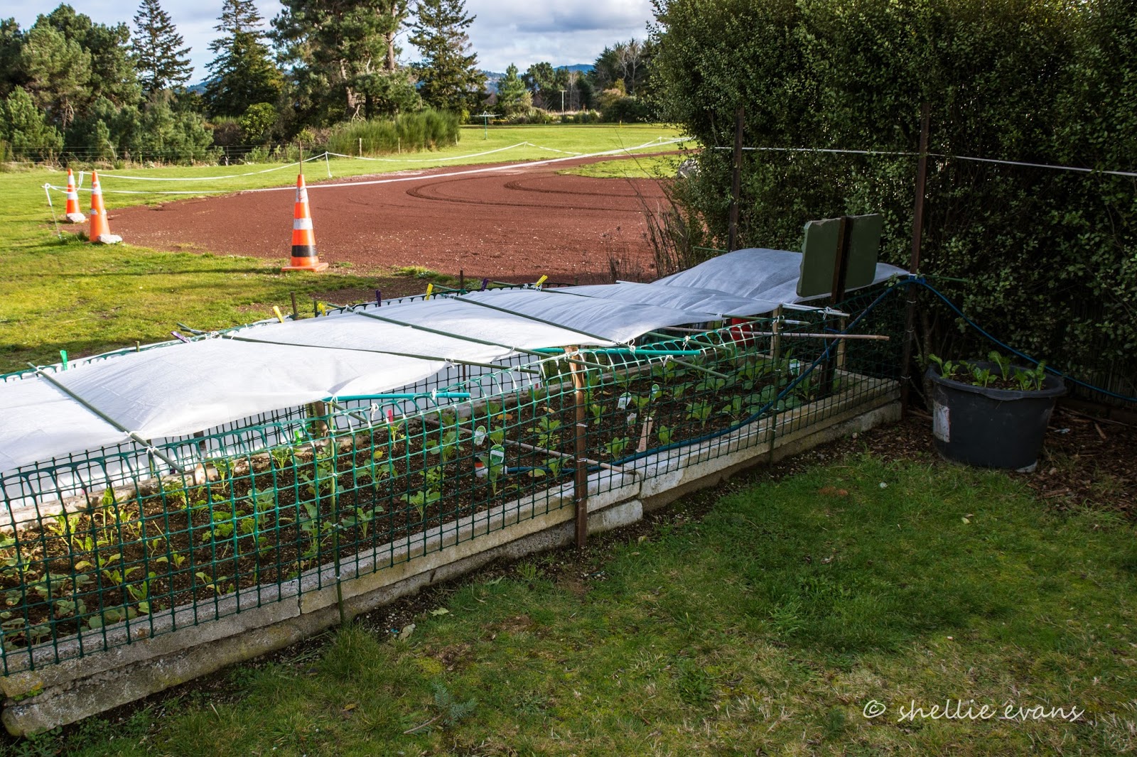 Two Go Tiki Touring Hop, Skip & a Jump to Tauranga