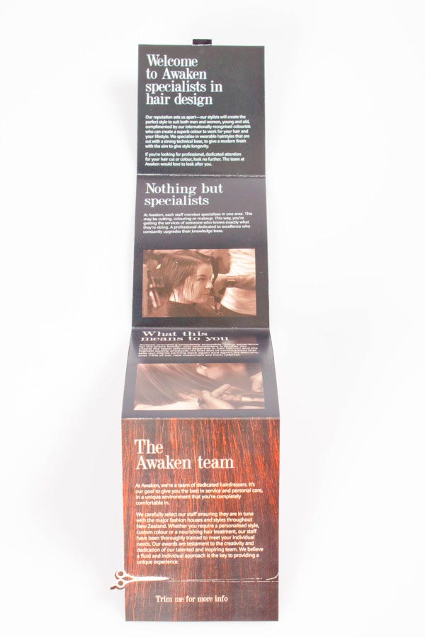 Salon Brochure Design