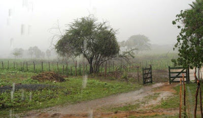 Resultado de imagem para chuvas em umarizal rn