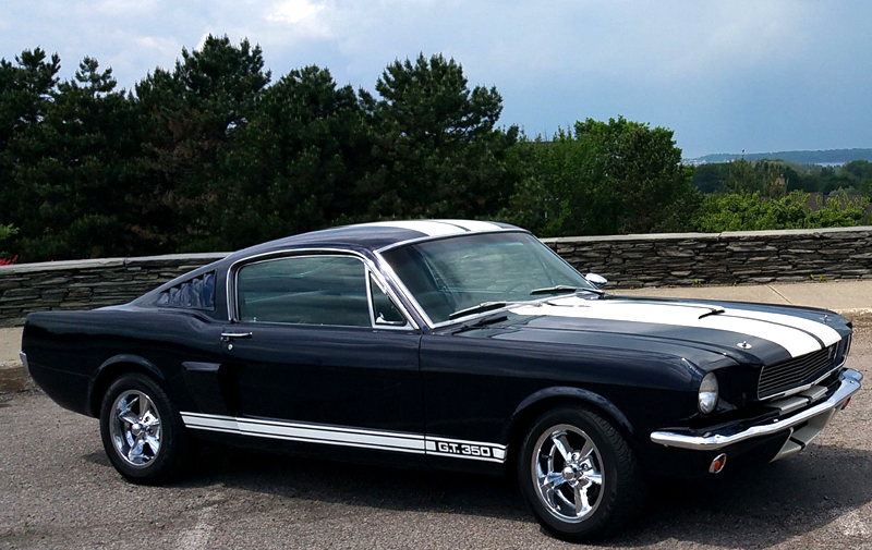 Nascar 1966 Mustang