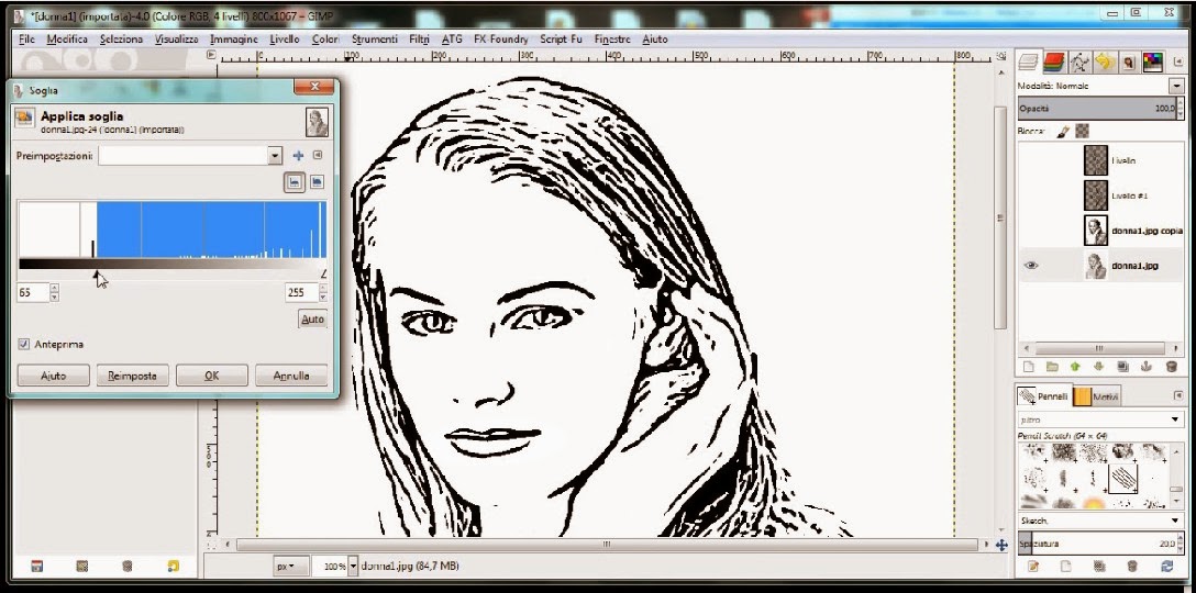 Mc Zerrill Gimp Tutorial Effetto disegno a matita Pencil drawing