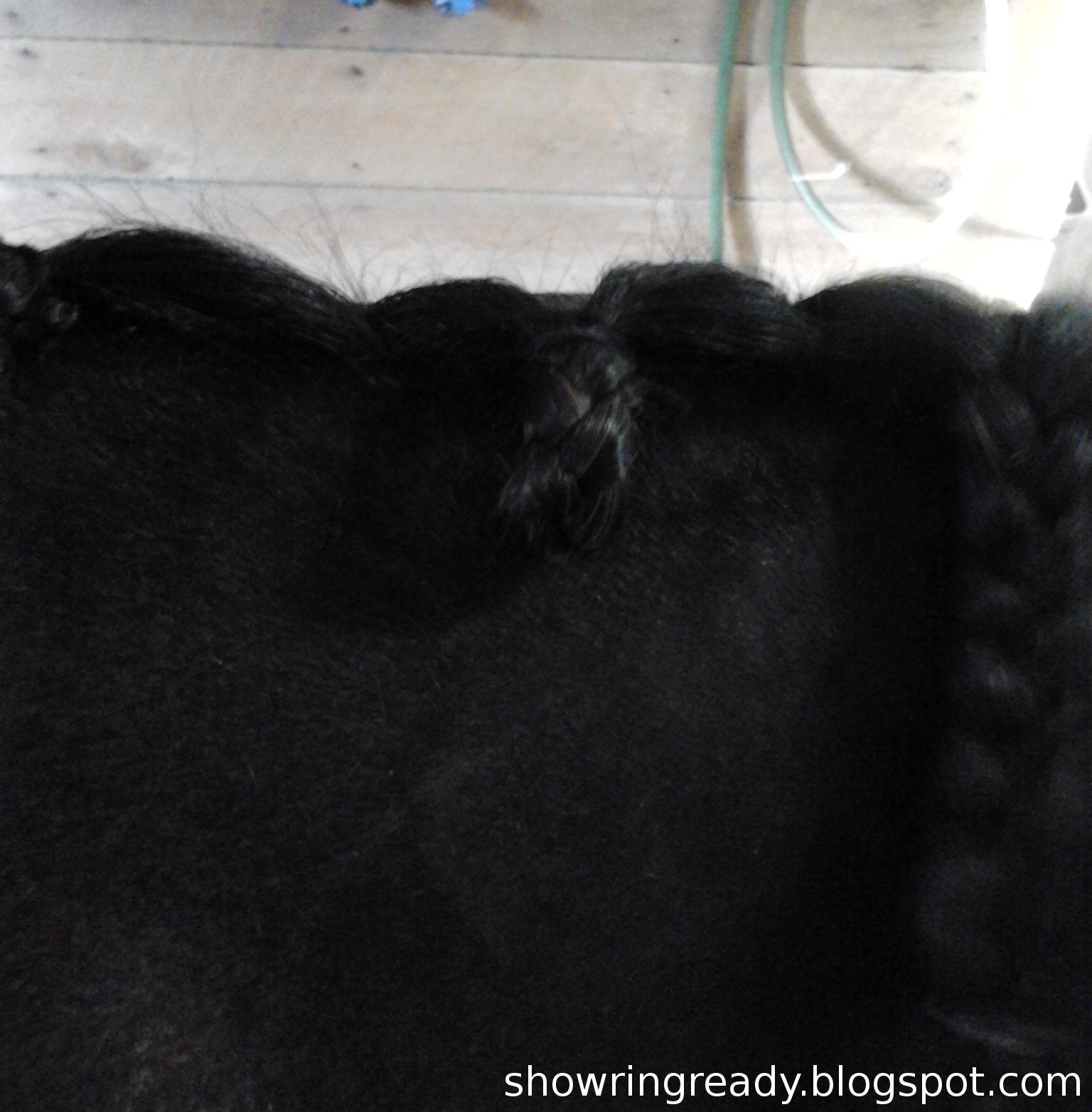 Show Ring Ready Foolproof Jumper Braids