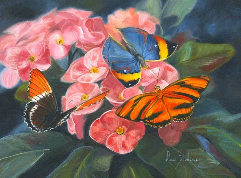 cuadros-de-mariposas-y-flores