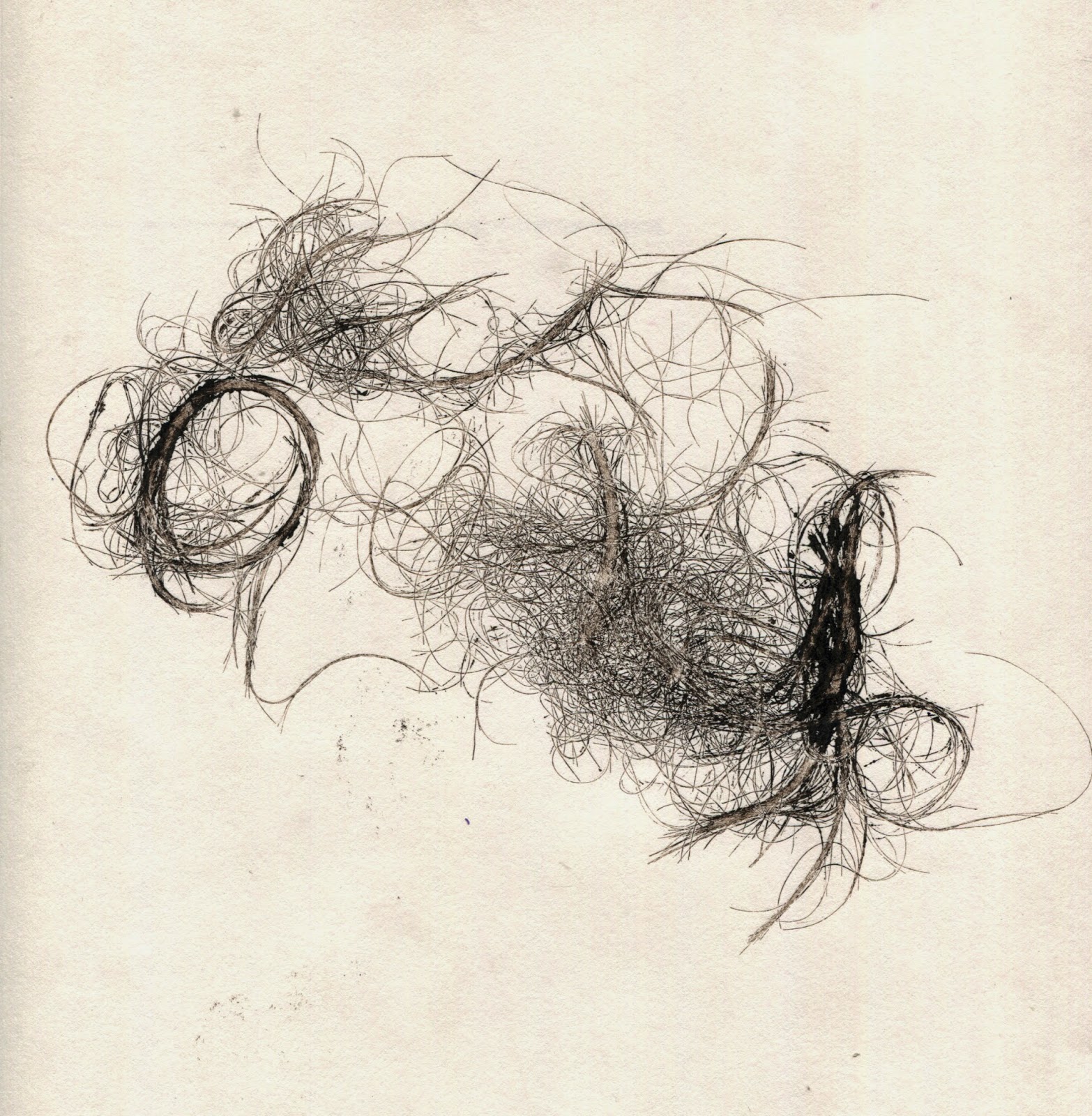 hair9.jpg