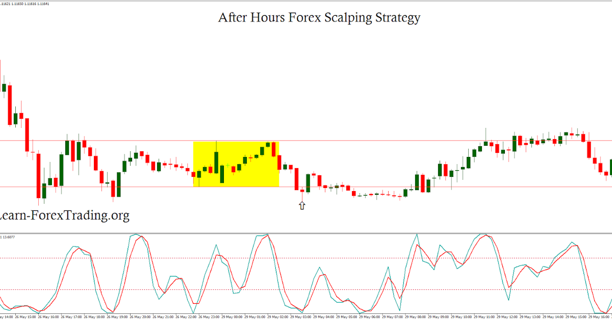 Learn forex in 24 hours