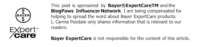Bayer ExpertCare Logo and legalities 