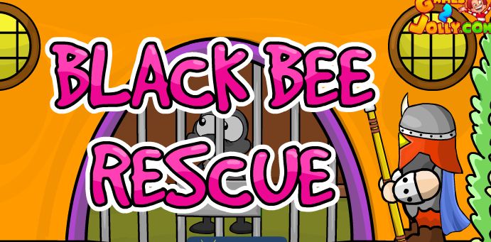 Black Bee Rescue