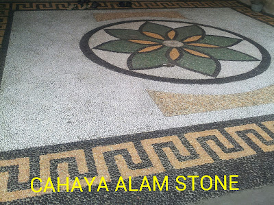 koral sikat batu koral sikat