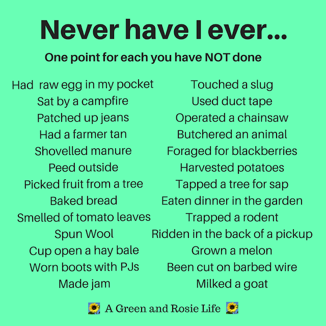 Never have I ever - Self sufficiency version