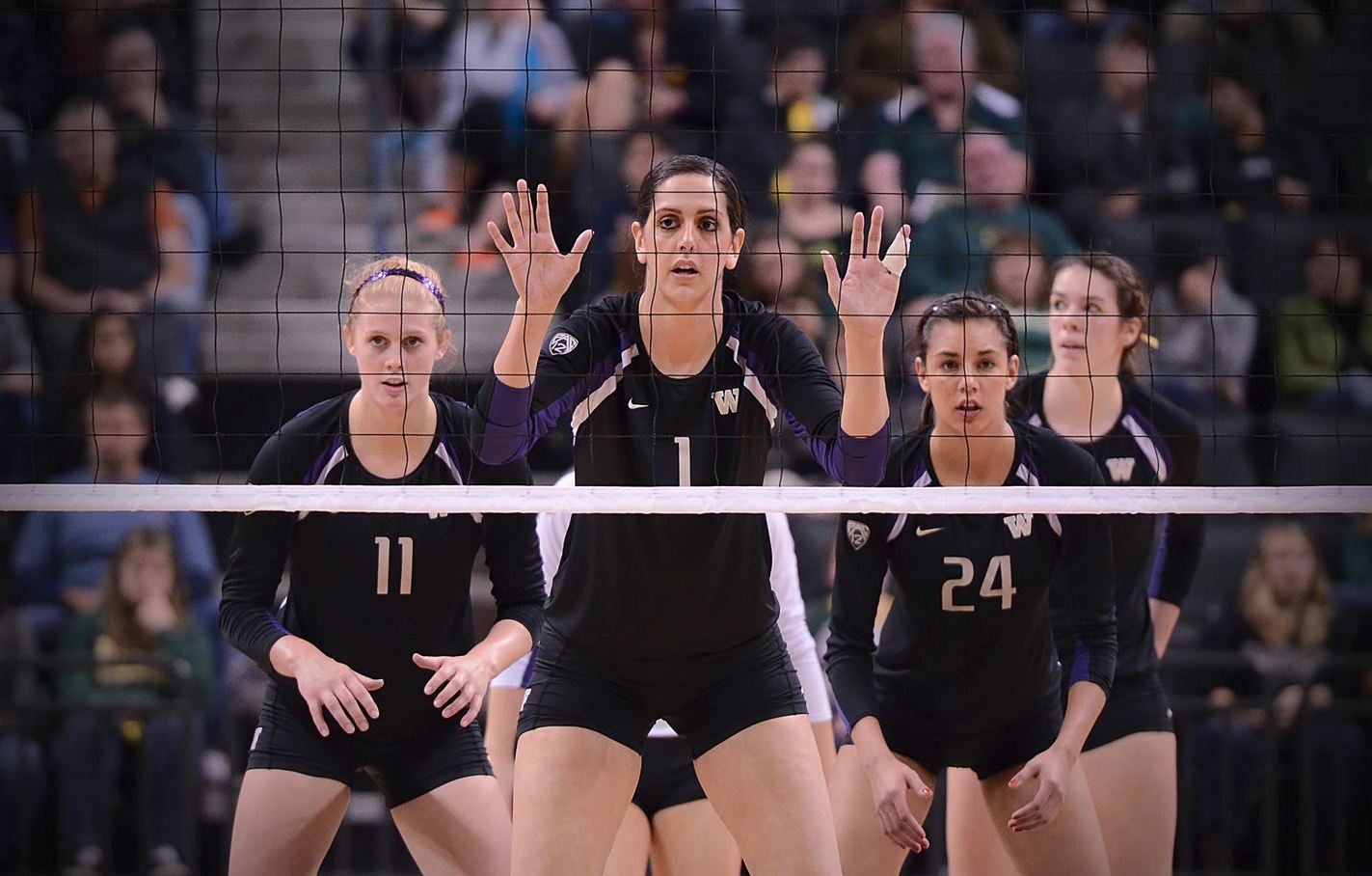 Volleyblog Seattle NCAA Washington Volleyball 5th in media poll, 8th