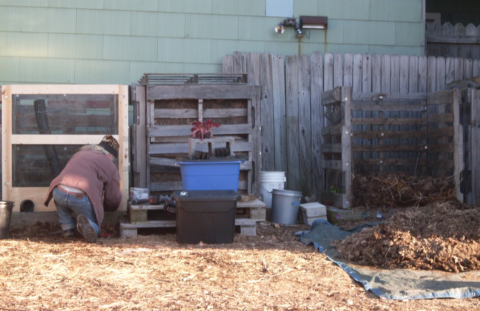 Three Sisters Garden Tricycle Gardens Headquarters