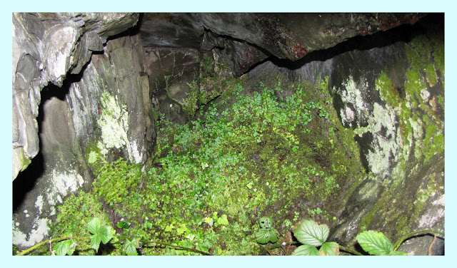 The Glebe Blog: Rocks of Garheugh March 2012