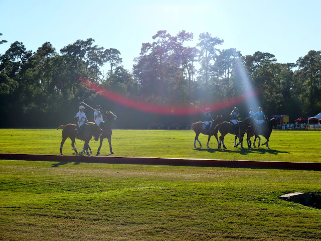 Houston Polo Club, Houston Polo