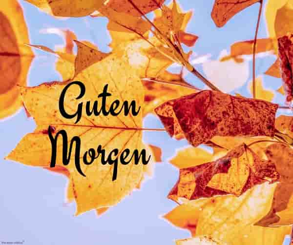 Translate In German Good Morning Handsome handsomejullla