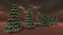 Pine Tree Pack