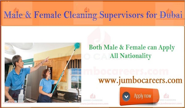 Jumbo Careers Jobs In Dubai Driver Teaching Qatar Oman Sharjah UAE jumbo-careers-jobs-in-dubai-driver-teaching-qatar-oman-sharjah-uae
